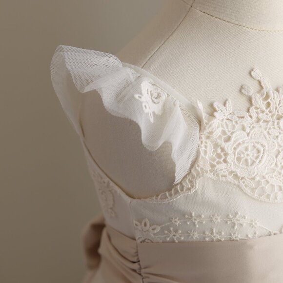 Stunning Ivory Flower Girl Embroidered Lace Tulle Dress Champagne Sash NWT - Picture 3 of 9